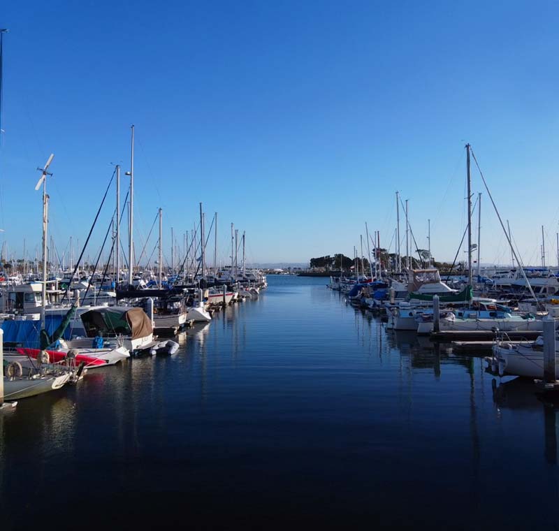 Mobile Dog Grooming, Chula Vista, California