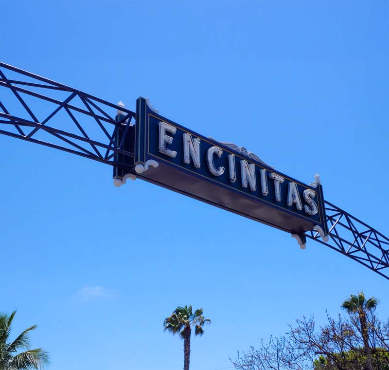 Mobile Dog Grooming in Encinitas, CA