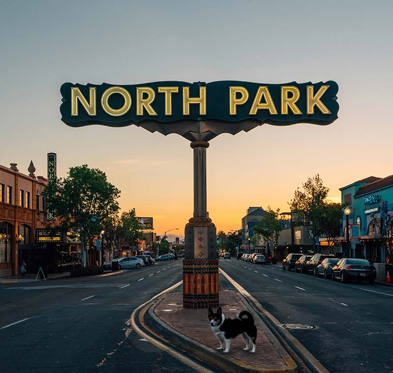 Mobile Dog Grooming in North Park, San Diego, CA