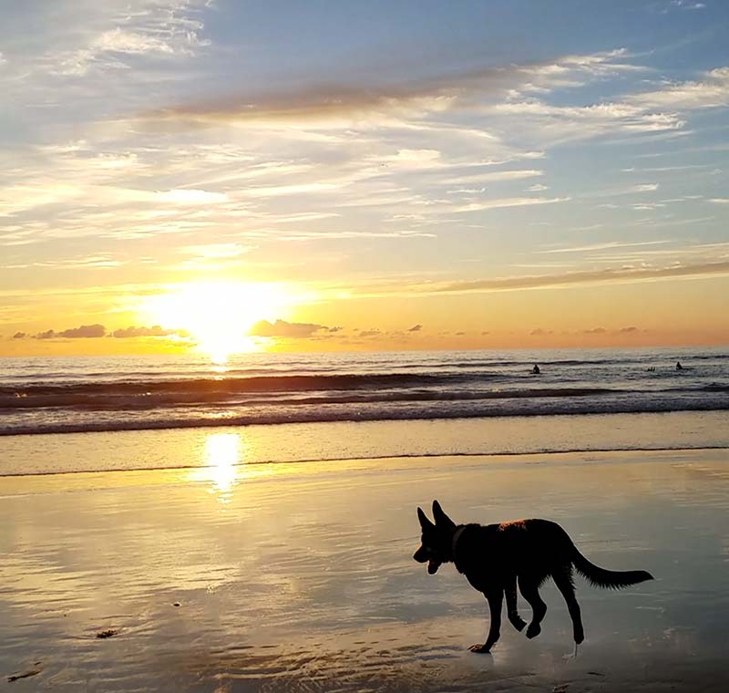 Mission Beach, San-Diego, California