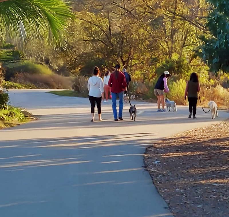 Mobile Dog Grooming in Clairemont, San Diego