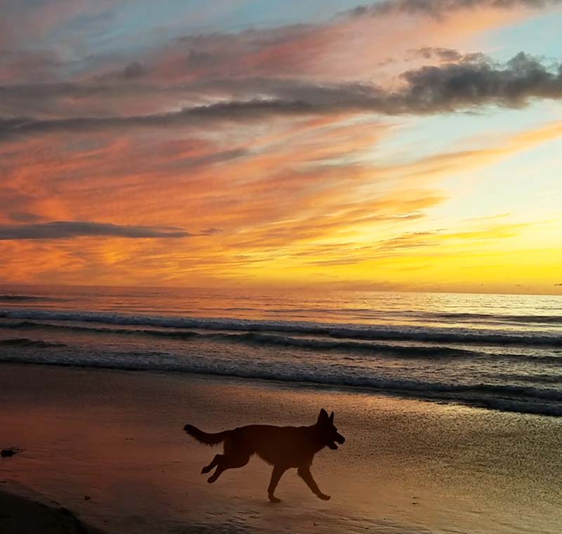 Pacific Beach, San Diego