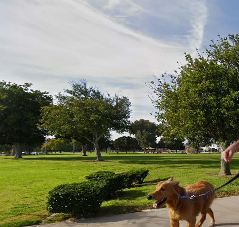 Mobile Dog Grooming in Allied Gardens, San Diego