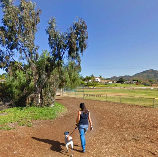 Mobile Dog Grooming in Del Cerro, San Diego