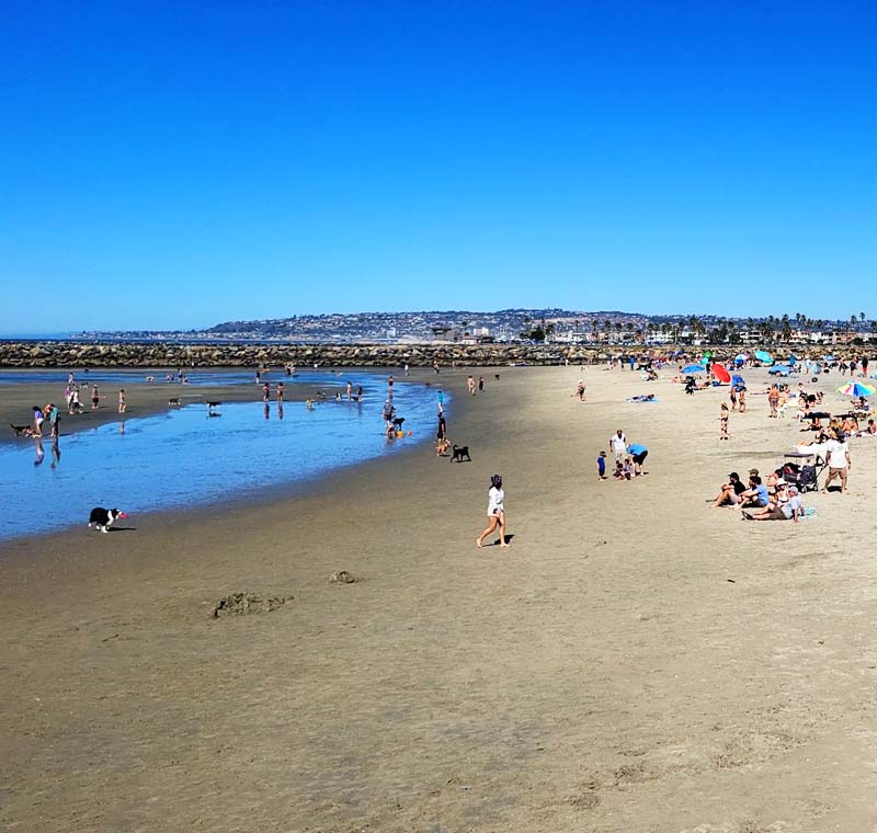 Mobile Dog Grooming in Del Mar, California