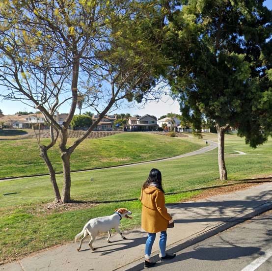 Mobile Dog Grooming in Eastlake, San Diego