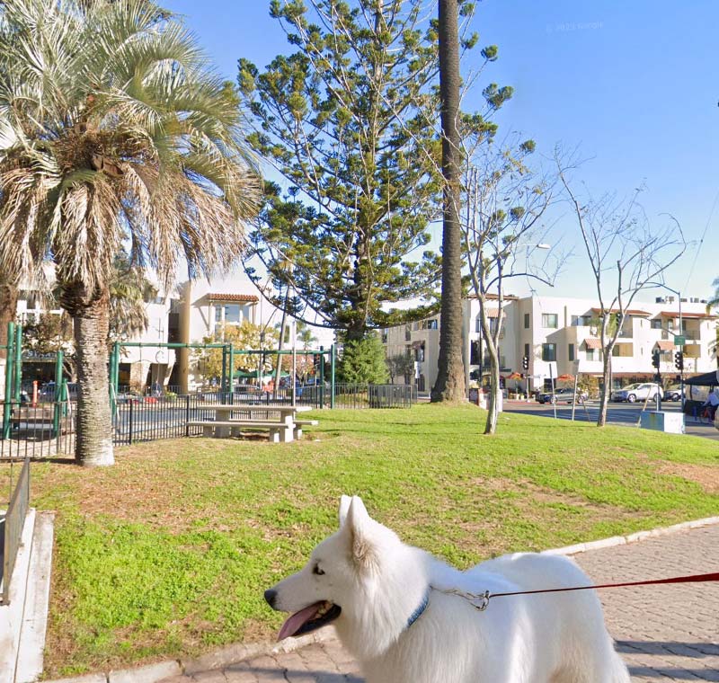 Mobile Dog Grooming in Kensington, San Diego