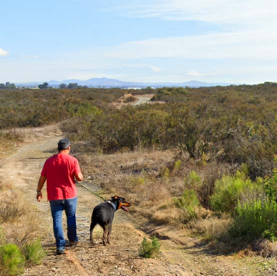 Mobile Dog Grooming in Miramar, San Diego