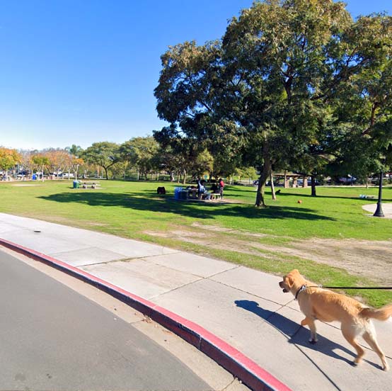 Mobile Dog Grooming in Normal Heights, San Diego