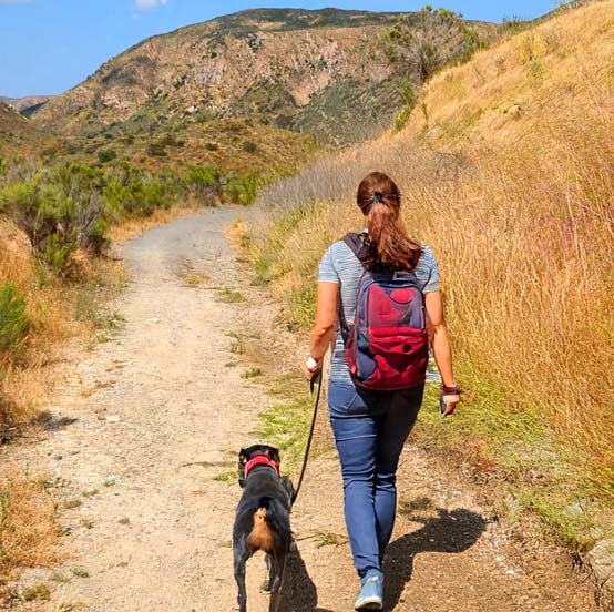 Mobile Dog Grooming in San Carlos, San Diego