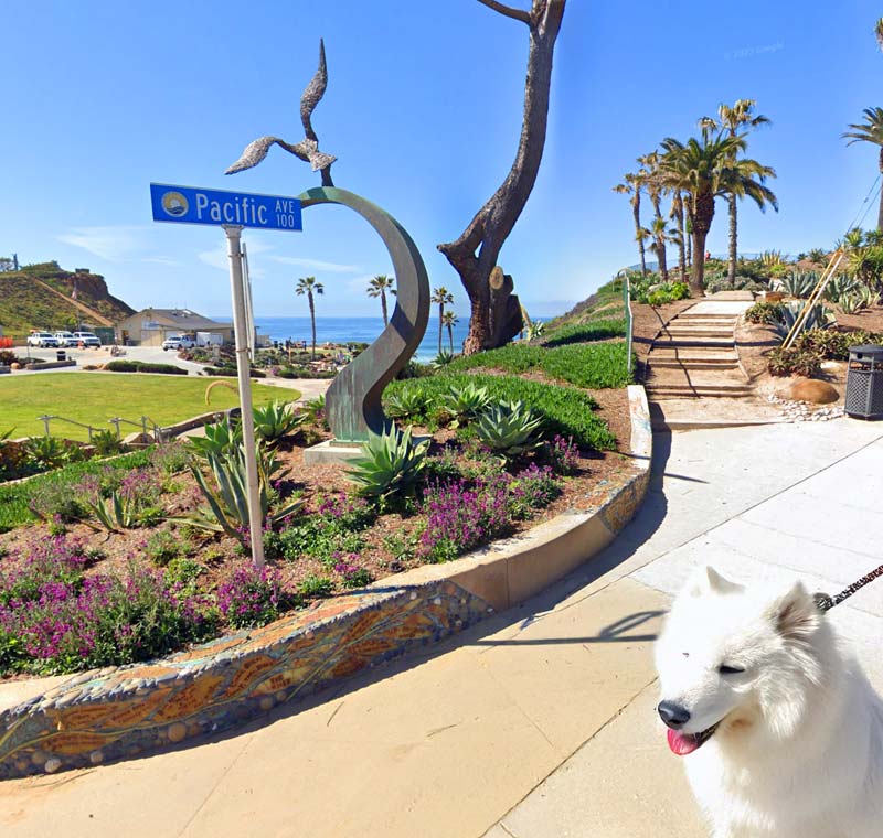 Mobile Dog Grooming in Solana Beach, California