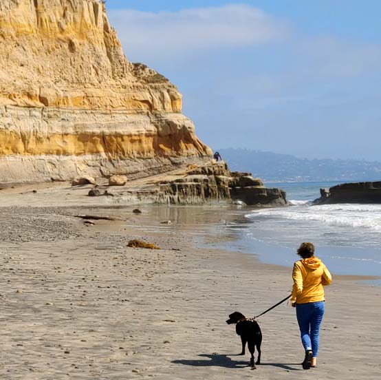 Mobile Dog Grooming in Torrey Pines, San Diego