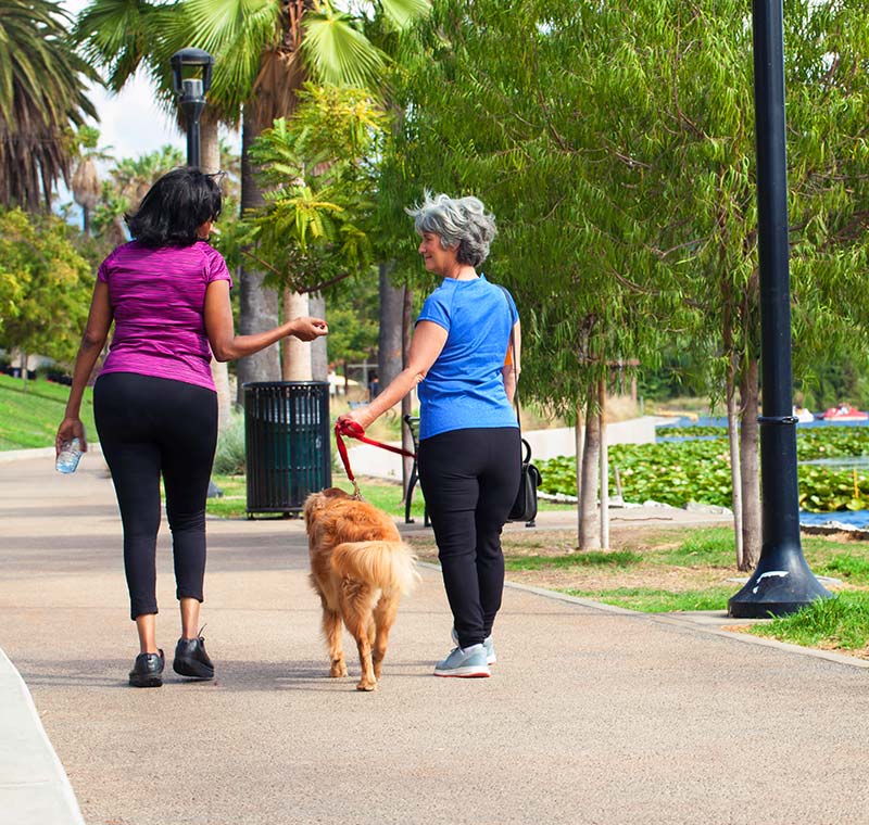 Pet Grooming, San Diego, CA