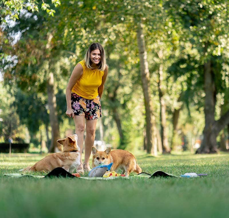 Dog Wash in Chula Vista