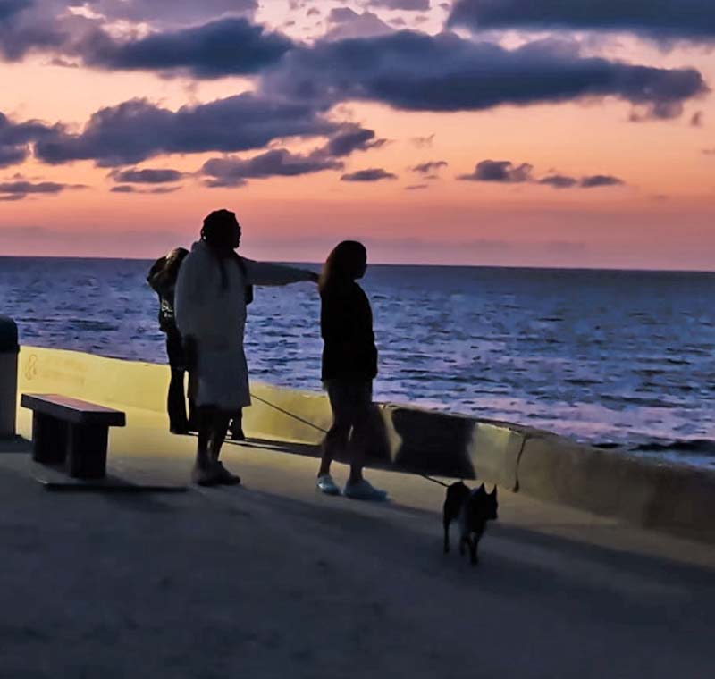 Dog Wash in La Jolla