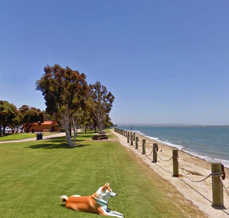 Pet Grooming in Chula Vista, San Diego, CA