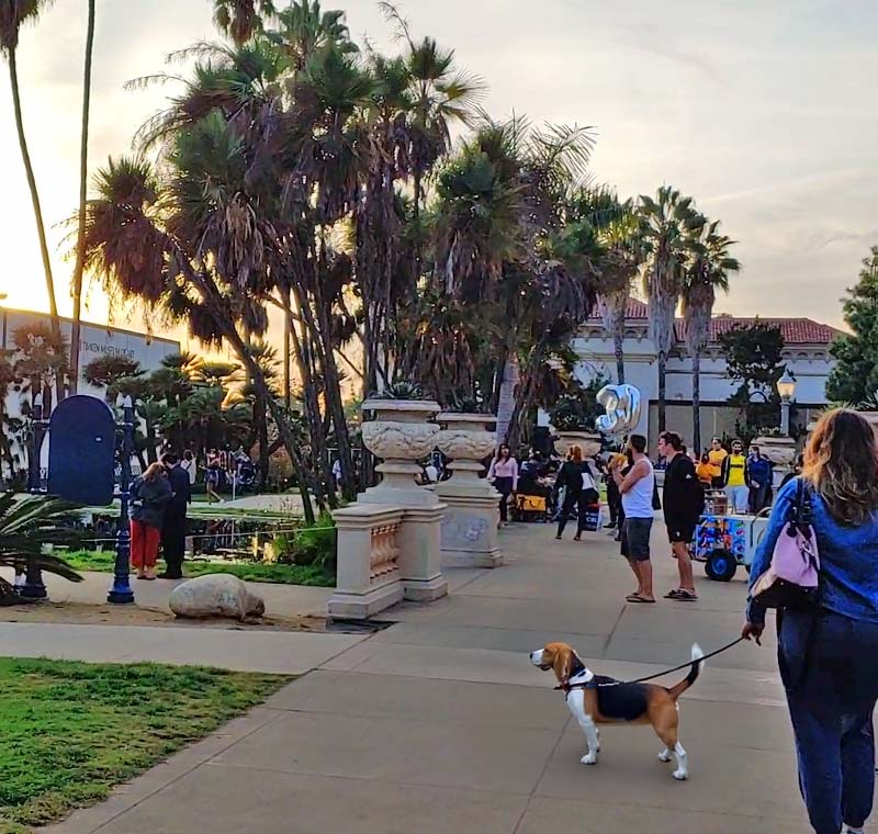 Pet Grooming in South Park, San Diego, CA