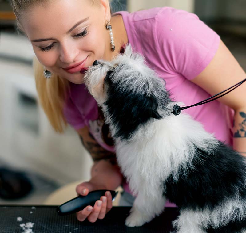 Grooming Pet Salon in San Diego, CA